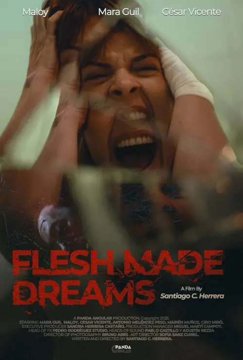 Постер до фільму "Sueños de Carne"