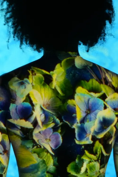 Постер до фільму "Becoming Air"