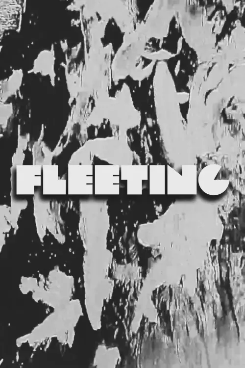 Постер до фільму "FLEETING"