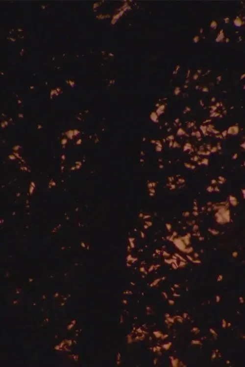 Постер до фільму "Solennelle"