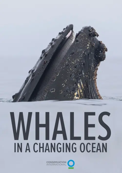 Постер до фільму "Whales in a Changing Ocean"