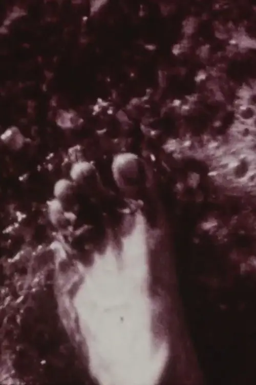 Постер до фільму "Footprints"