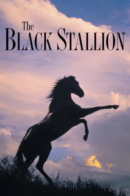 Постер до фільму "The Black Stallion"