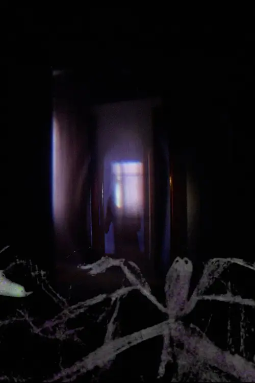 Постер до фільму "Saia da minha casa"