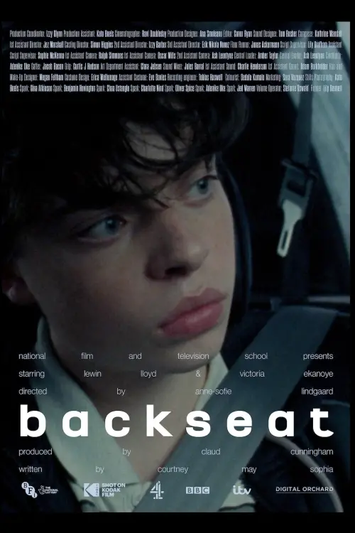 Постер до фільму "Backseat"