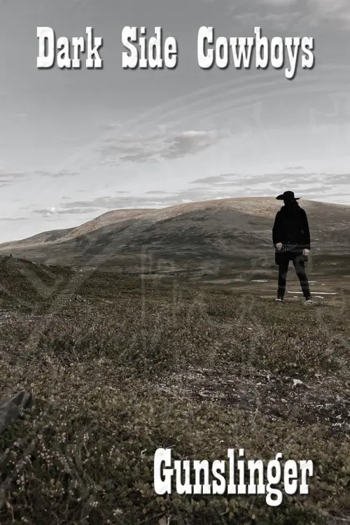 Постер до фільму "Dark Side Cowboys: Gunslinger"