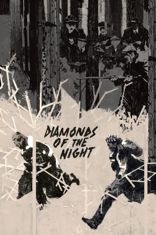 Постер до фільму "Diamonds of the Night"