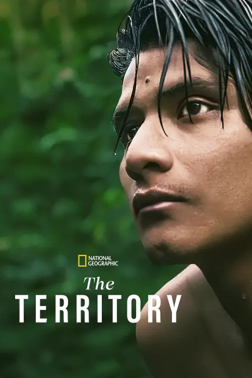 Постер до фільму "The Territory"