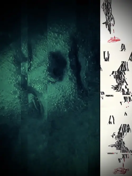 Постер до фільму "Three Wolves"
