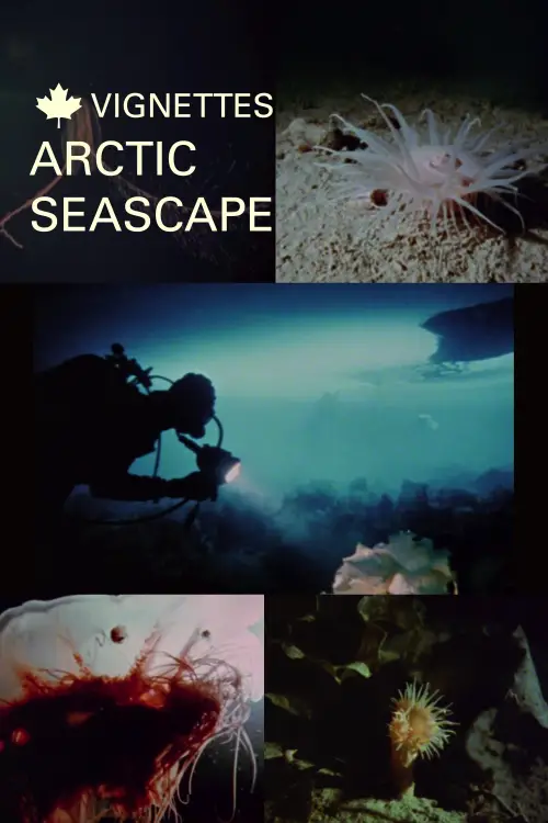 Постер до фільму "Canada Vignettes: Arctic Seascape"