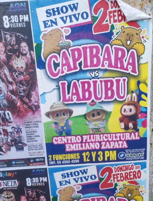 Постер до фільму "Capybara vs. Labubu"