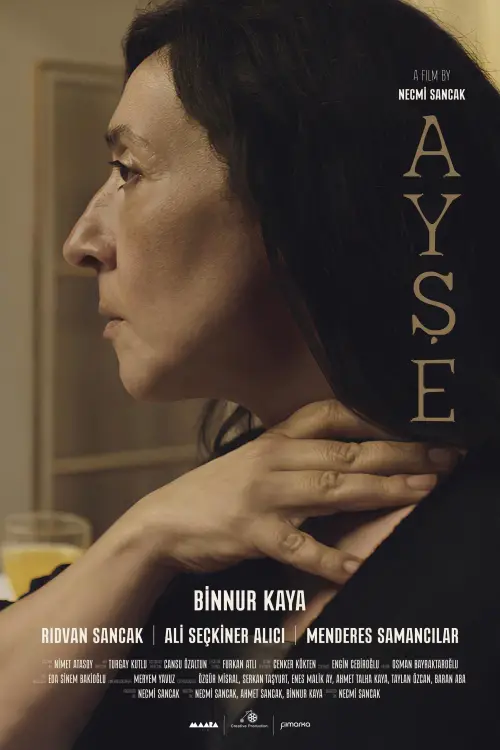 Постер до фільму "Ayşe"