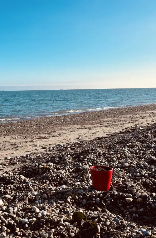 Постер до фільму "Naive Melody"