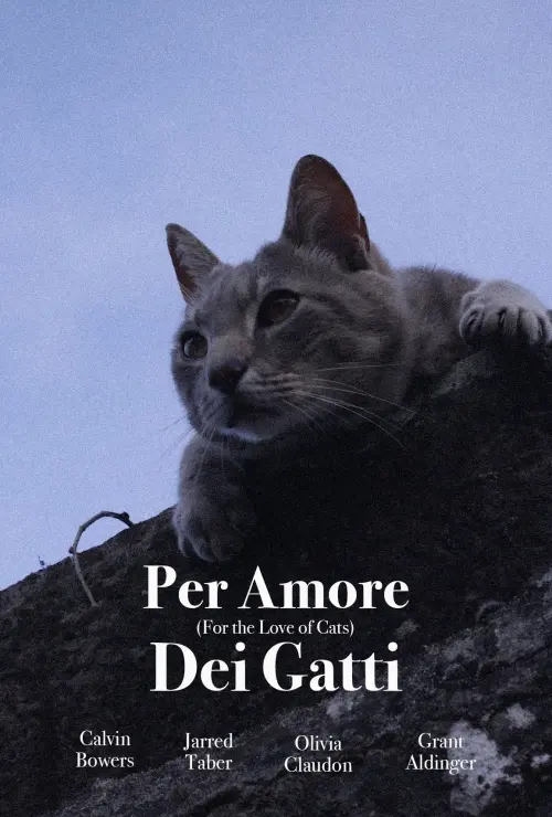 Постер до фільму "For the Love of Cats"