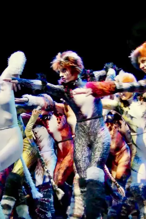 Постер до фільму "The Show Must Go On"