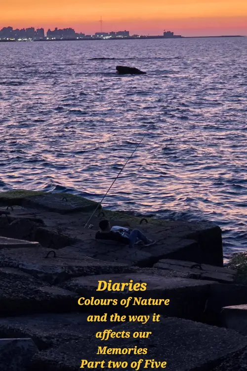 Постер до фільму "Diaries: Colours of Nature and the Way It Affects Our Memories. Part two of five"