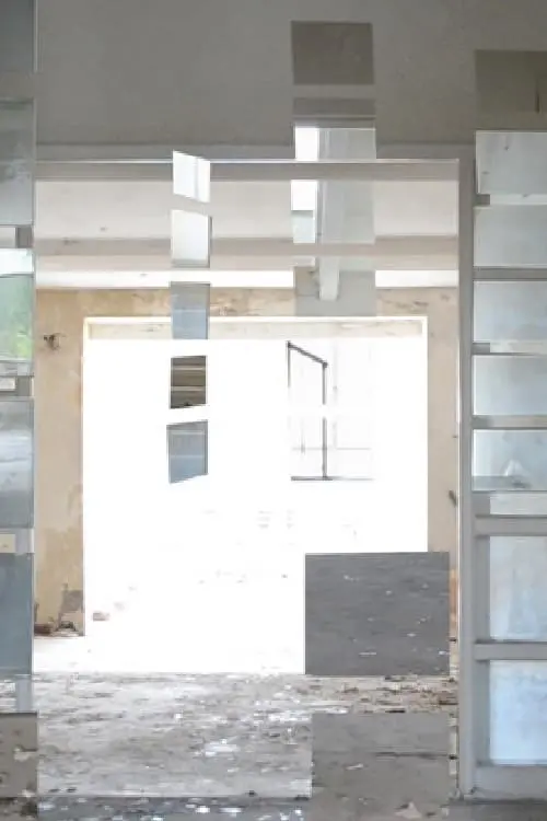 Постер до фільму "Evanescence"