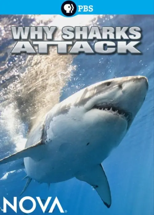 Постер до фільму "Why Sharks Attack"