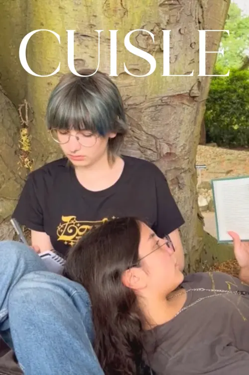 Постер до фільму "Cuisle"