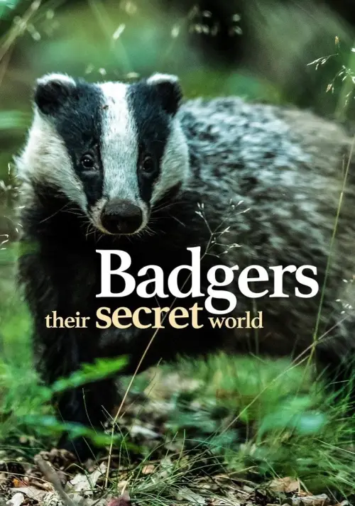 Постер до фільму "Badgers: Their Secret World"