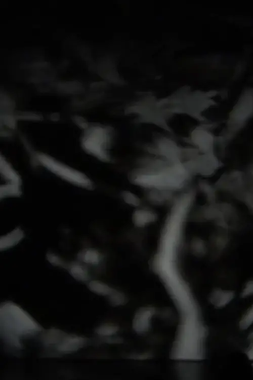 Постер до фільму "Nervous Lantern at Kill Your Timid Notion Festival"