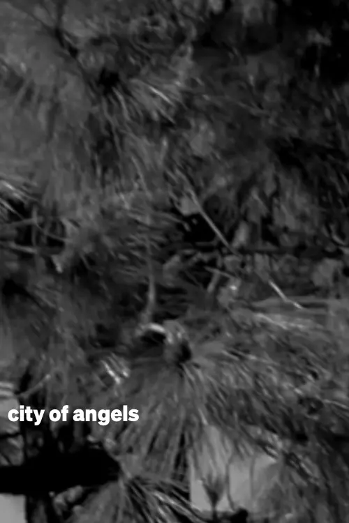 Постер до фільму "city of angels"