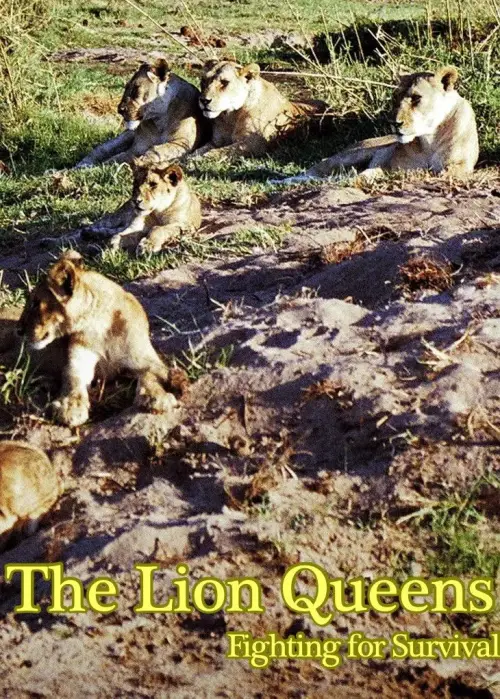Постер до фільму "The Lion Queens: Fighting for Survival"