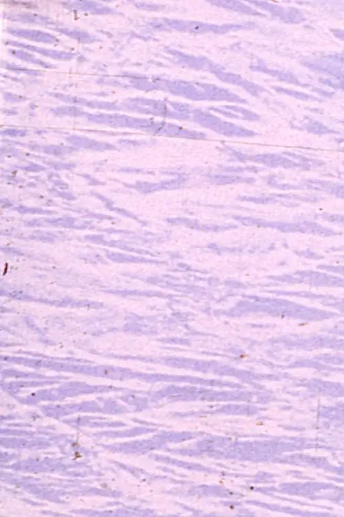 Постер до фільму "Angels