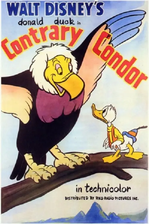 Постер до фільму "Contrary Condor"