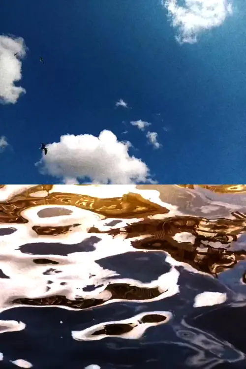 Постер до фільму "Landscape For Birds"