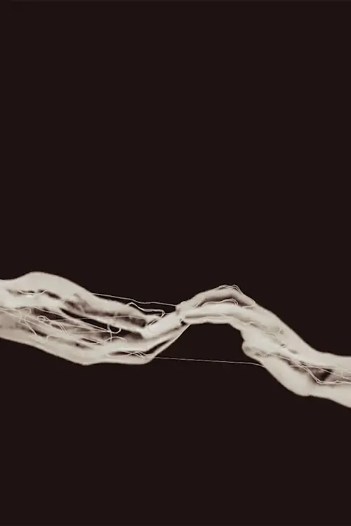 Постер до фільму "Preludio de un destello"