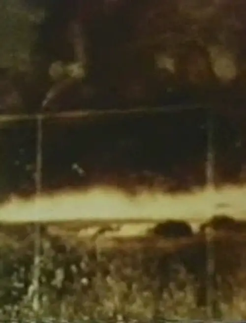 Постер до фільму "Пісня 2"