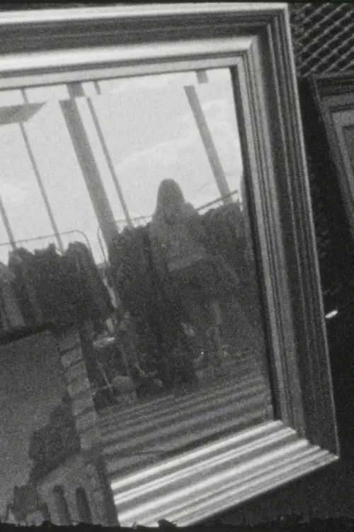 Постер до фільму "Spiegel van Antwerpen"