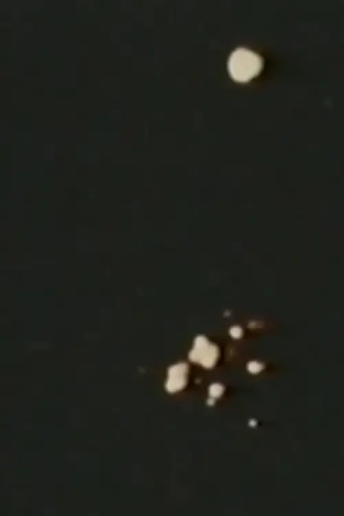 Постер до фільму "Пісня 11"