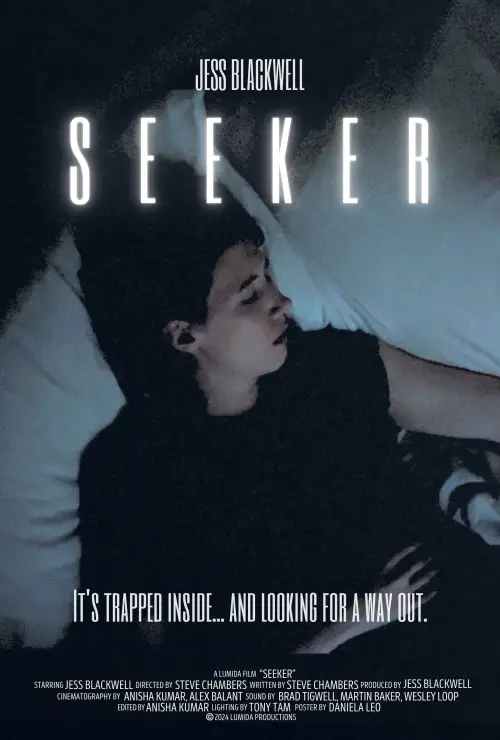 Постер до фільму "Seeker"