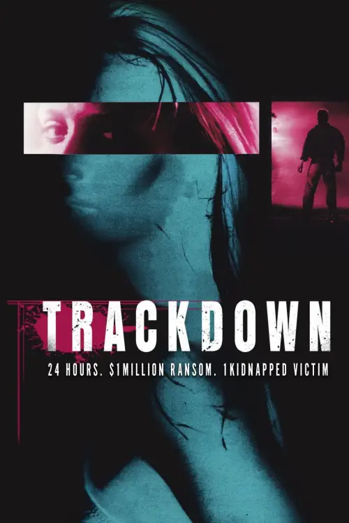 Постер до фільму "The Finder"