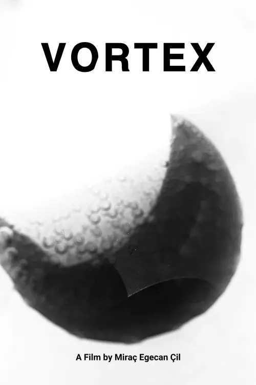 Постер до фільму "Vortex"