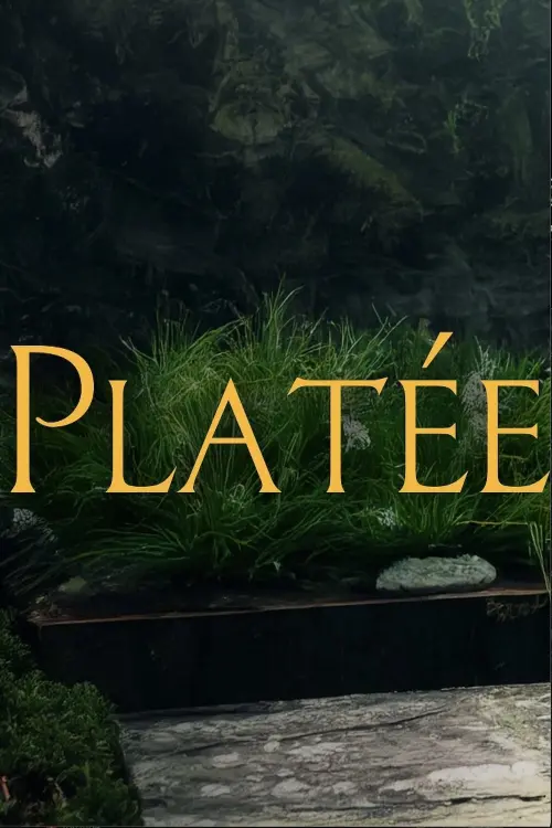 Постер до фільму "Platée"