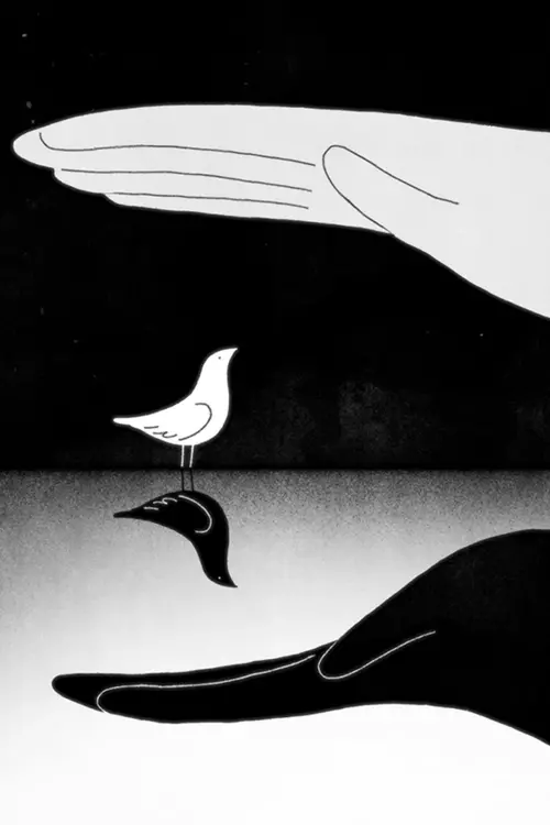Постер до фільму "Bird & Shadow"