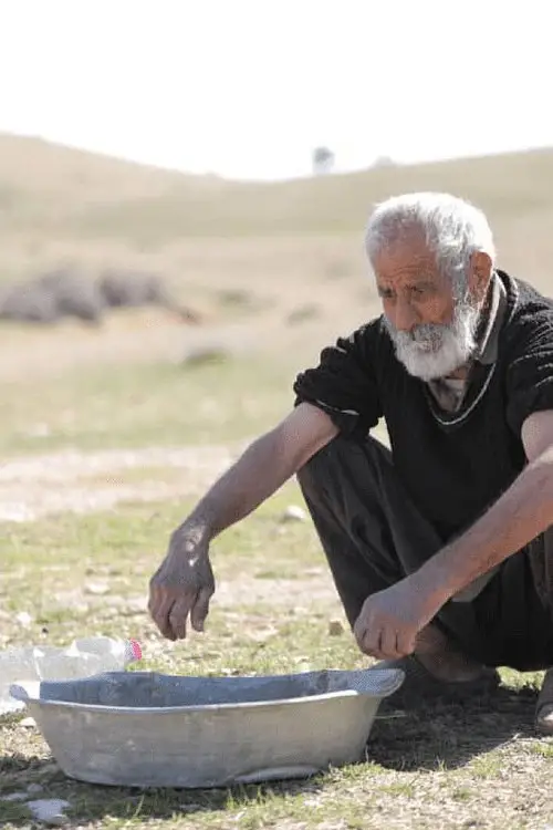 Постер до фільму "Remember"