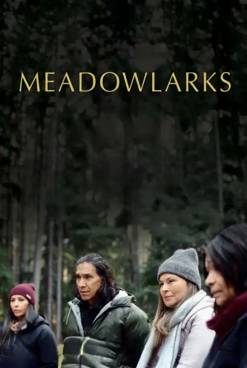 Постер до фільму "Meadowlarks"