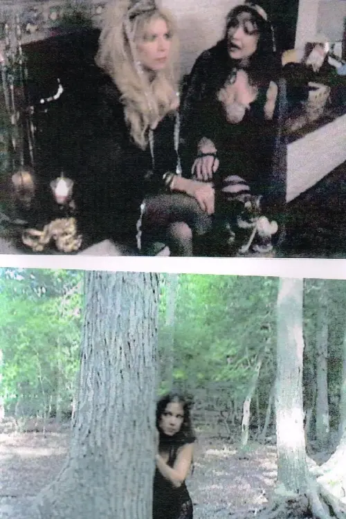 Постер до фільму "Little Witch II"