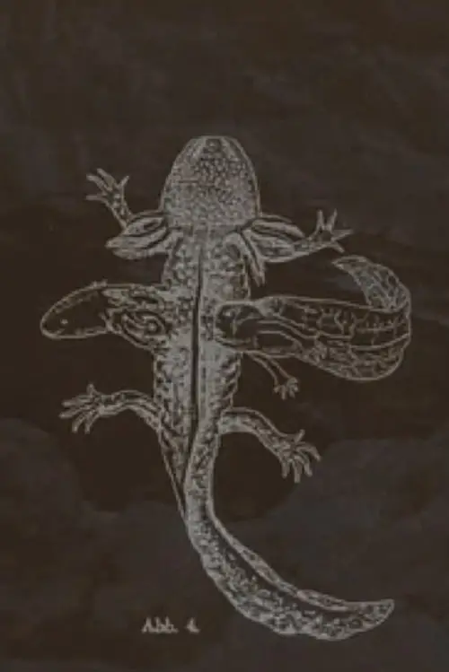 Постер до фільму "The Axolotl Stories-encounter"