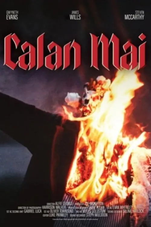 Постер до фільму "Calan Mai"