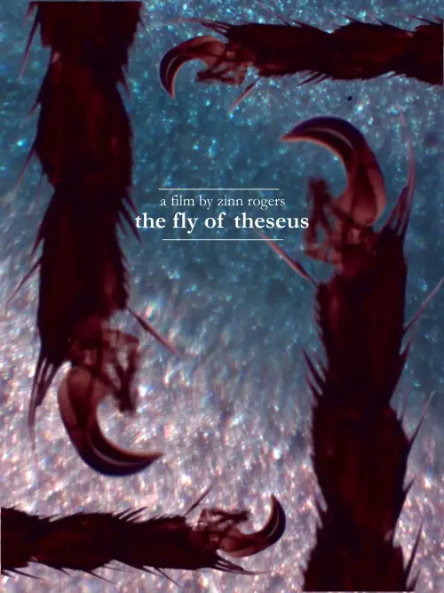 Постер до фільму "The Fly of Theseus"
