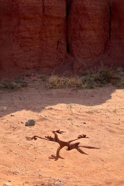 Постер до фільму "Coyote vs. Acme"