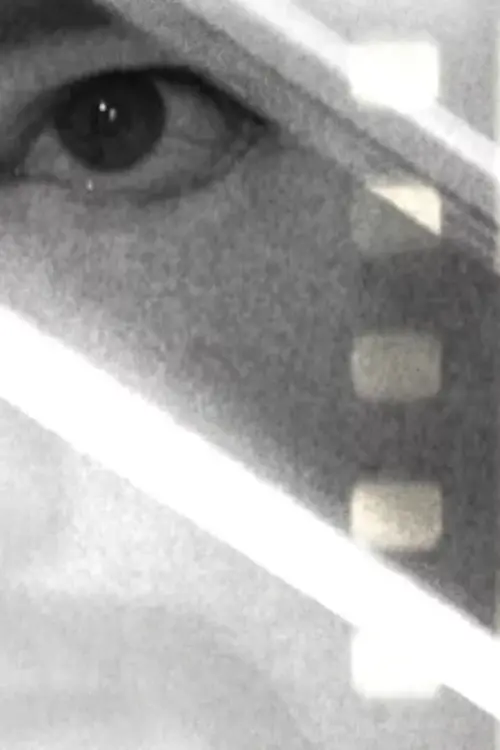 Постер до фільму "Notes on the Death of A Cinema"