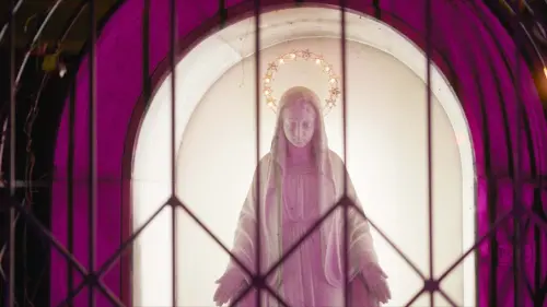 Відео до фільму Stray Bodies | Stray Bodies | Trailer | Cinedoc 2024