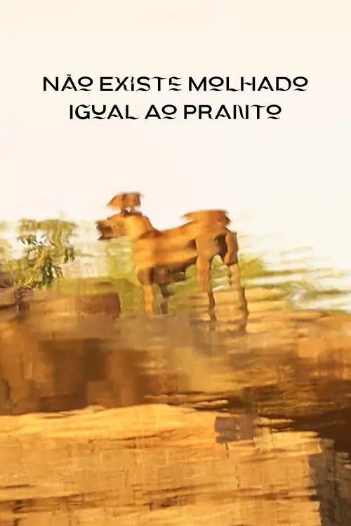 Постер до фільму "Não Existe Molhado Igual Ao Pranto"