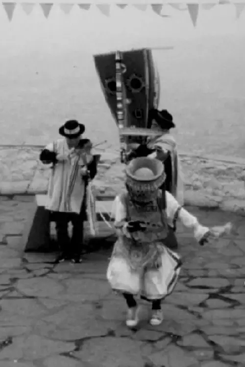 Постер до фільму "Warmi Danzaq"